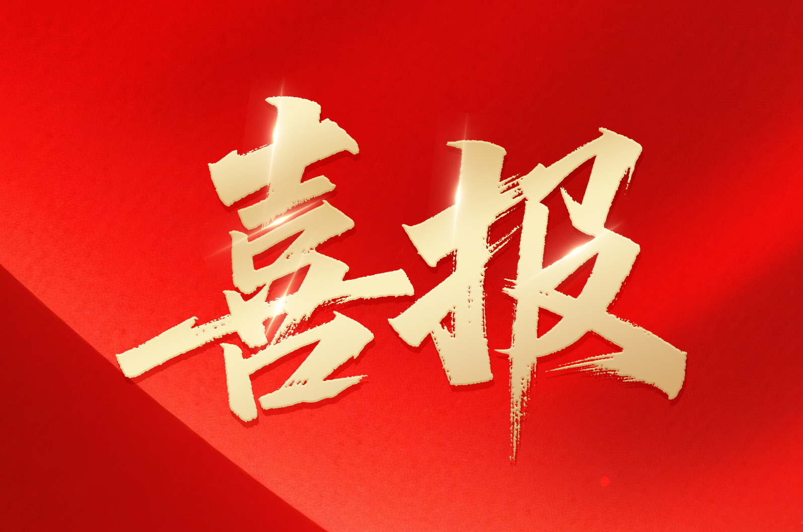 Z6尊龙凯时在线｜喜报！公司荣获2024年拼搏奋进·衢州市长特别奖市政府质量奖
